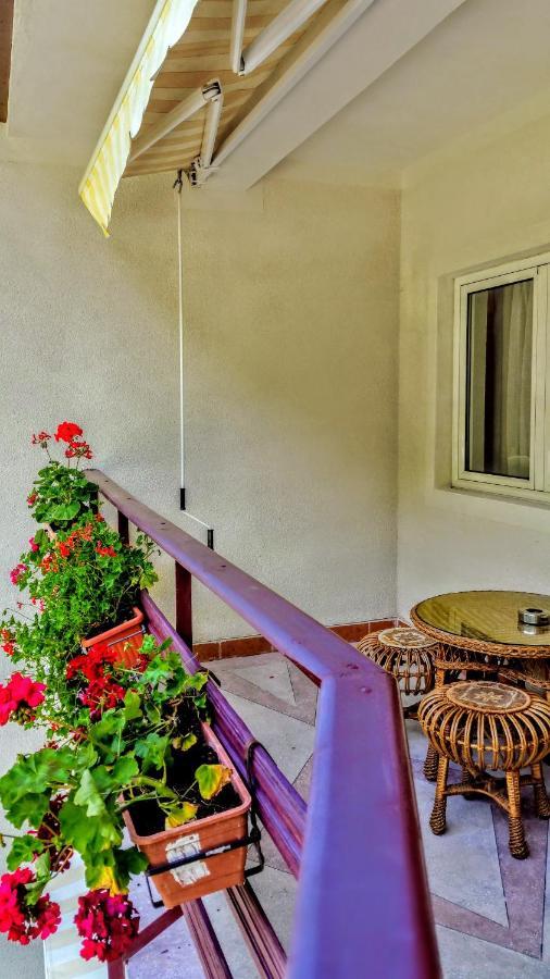 Casa Miorita Vila Cumpăna Exterior foto